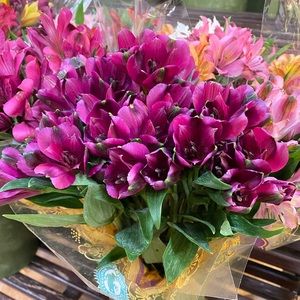 Meet your Posher, Alexxa